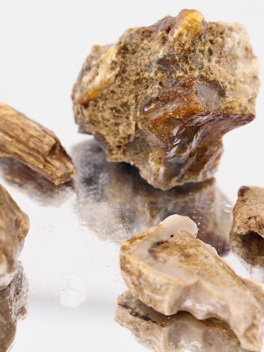 5pcs Virgin Valley Opal Petrified Wood Log Limb Cast Raw Rough Specimen Nevada